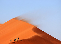 免费使用不要钱的ddos在线攻击工具